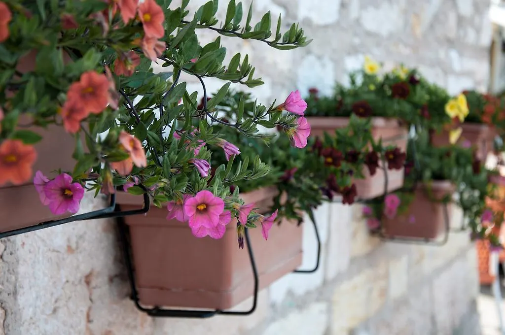 Apartment Villa Mimosa Bardolino